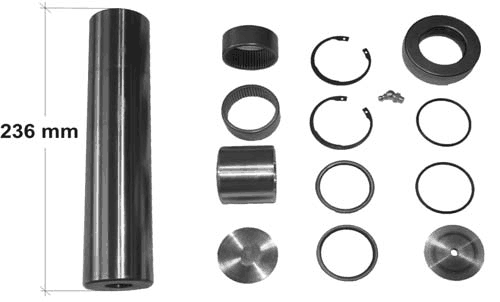Kit reparatie pivot punte  fata Renault Magnum E Tech
