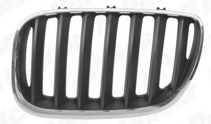 Grila radiator fata BMW X5 caroserie E53 dupa 2003