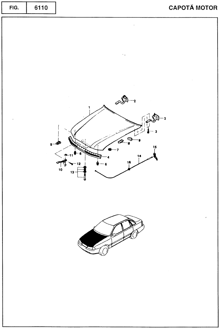 Capota Motor