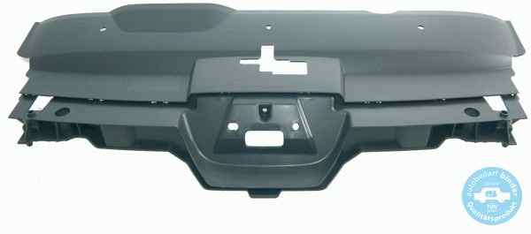 Grila radiator fata Peugeot 407