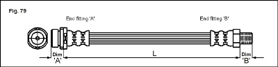 Furtun frana Focus II (fata/spate)