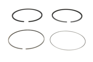 Set segmenti STD motor 3,0 DDTi Nissan (per piston)