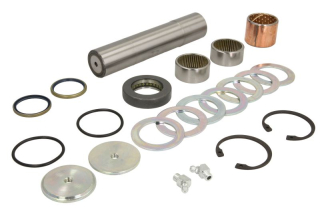 Kit reparatie pivot punte fata Man L2000