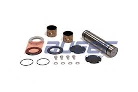 Kit reparatie pivot punte liftanta spate Renault Premium dCi