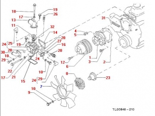 Fulie pompa apa Nissan Cabstar E (poz.6)