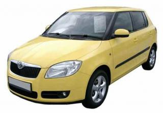 Usa spate Fabia II