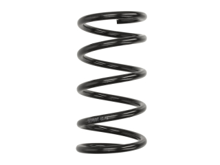 Arc elicoidal punte spate Toyota Rav 4 I